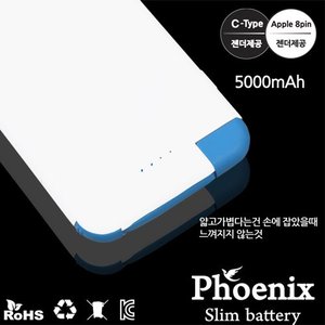 피닉스 보조배터리 5000mA (c타입젠더포함)/M7000