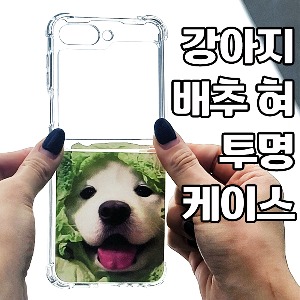 [DYG]강아지 배추 코 투명 케이스 -갤럭시 Z플립4(F721)